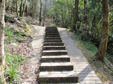 Vista de las escaleras en una parte de la senda